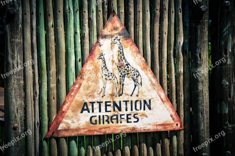 Signs Brand Ban Animal Zoo