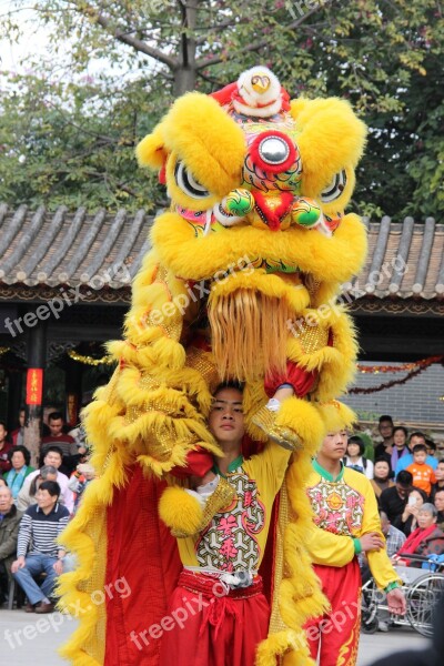 Lion Foshan Festive Festival Lion Dance Shengping