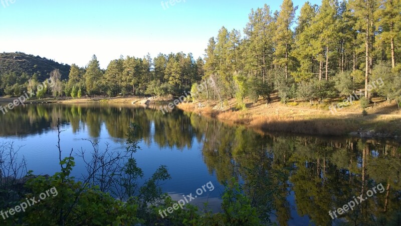 Lake United States Chill Trees Plants