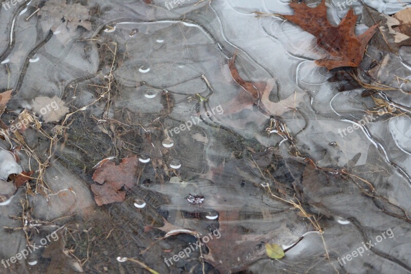 Ice Stream Creek Brook Season