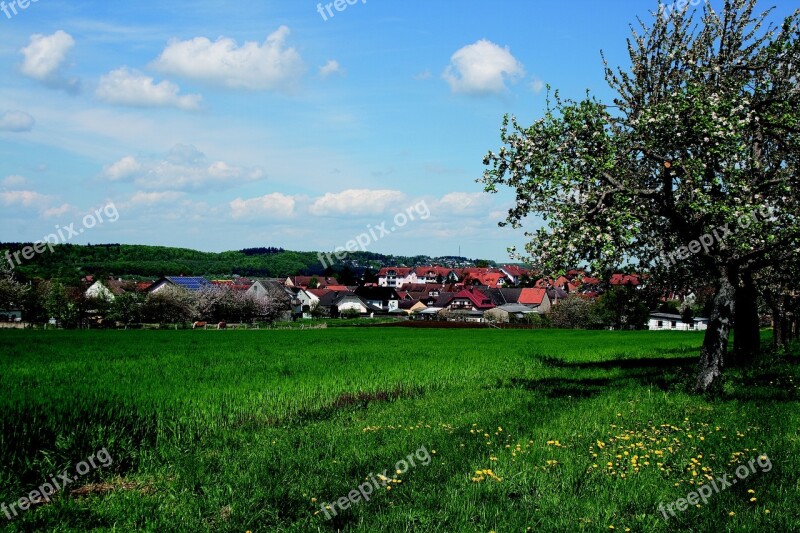 Spring Fruit Tree Apple Tree Blossom Sky Nature