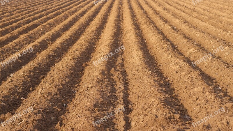 Field Farmland Rut Arable Furrow Earth