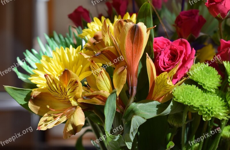 Alstroemeria Peruvian Lily Chrysanthemum Rose Flower