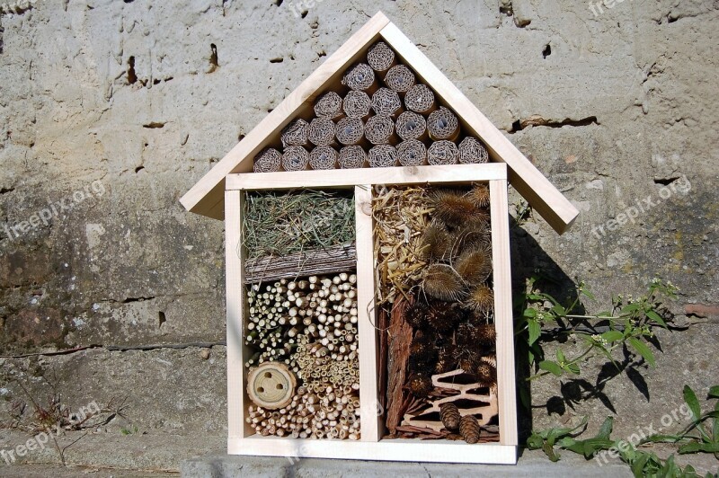 Insect Hotel House Insect Shelter Wood