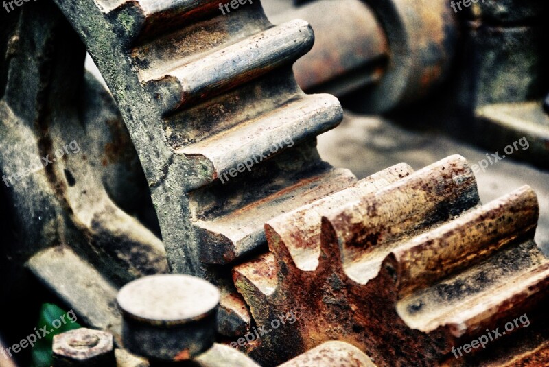 Rusted Gear Gears Machine Plant