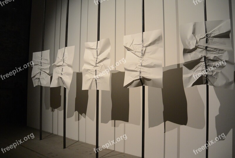 Paper Art Biennale Installation Free Photos