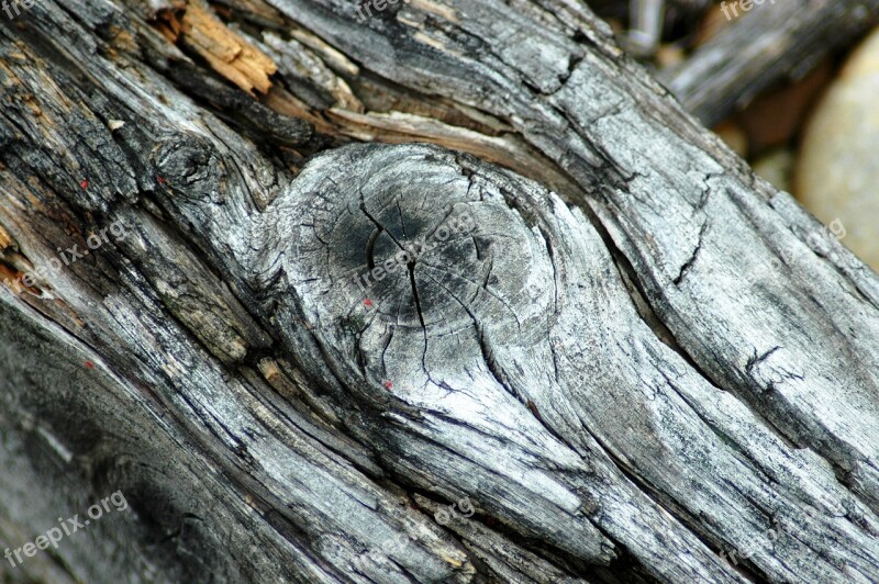 Wood Old Dry Knot Cracks