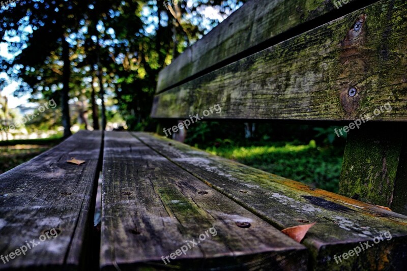 Wood Sit Bench Seating Textures Nails