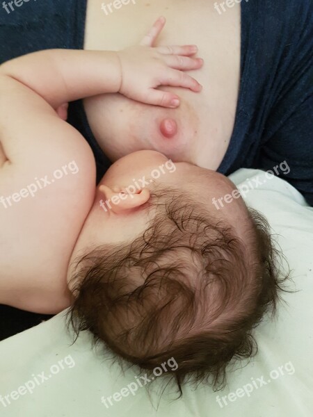 Lactation Bebe Tit Breastfeeding Child