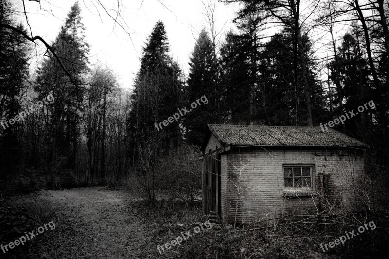 Blackandwhite Shed Forest Black Nature