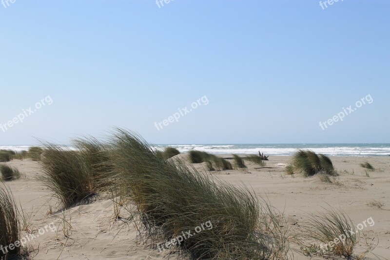 Beach Sea Shore Summer Landscape Weather