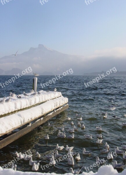 Lake Mondsee Winter Web Lake Promenade