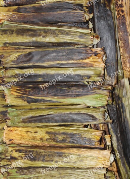 Chikki Banana Leaf Manioc Food Northeast