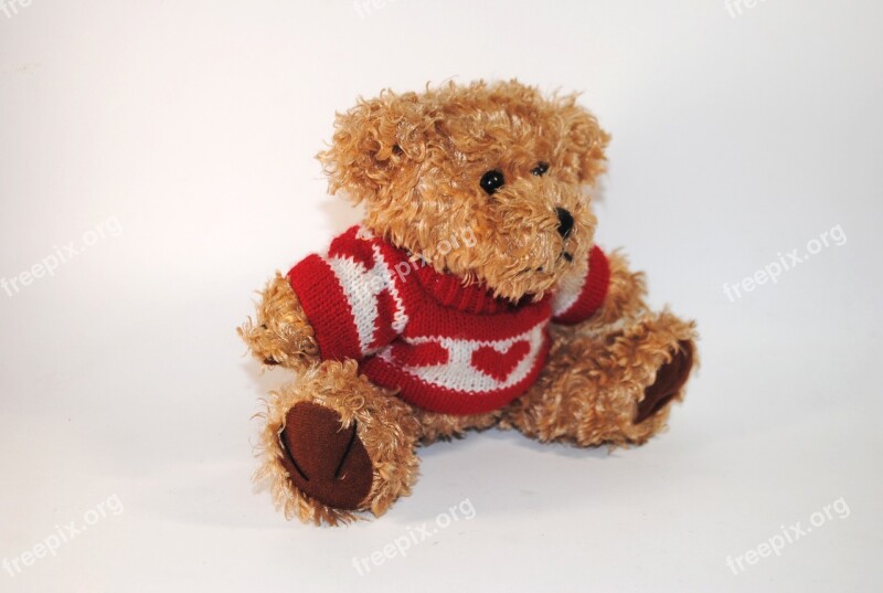 Teddy Gift Bear Toy Tenderness