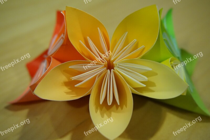 Origami Flower Paper Folding Modules Free Photos