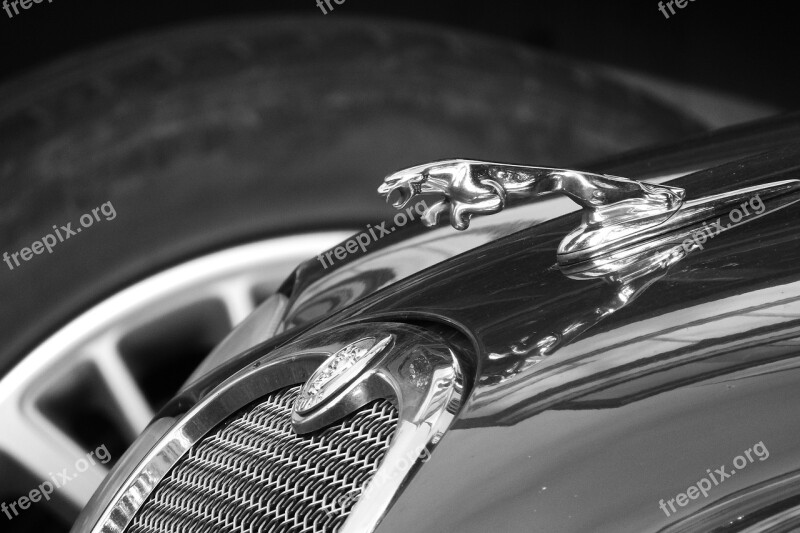 Jaguar Expensive Car Car Brand Auto Black And White