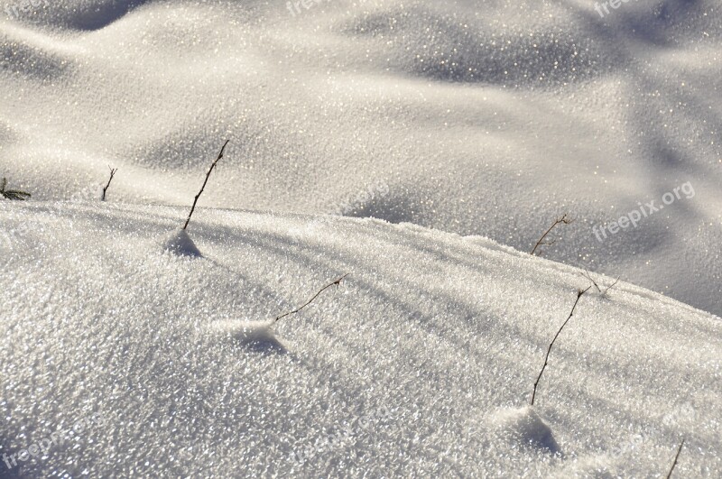 Winter Snow Biel Frost Ice