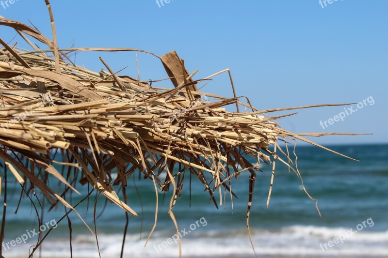 Beach Summer Primorsko Bulgaria Summer Beach