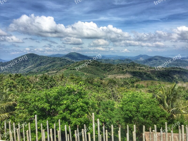 Jungle Thailand Nature Forest Tropical