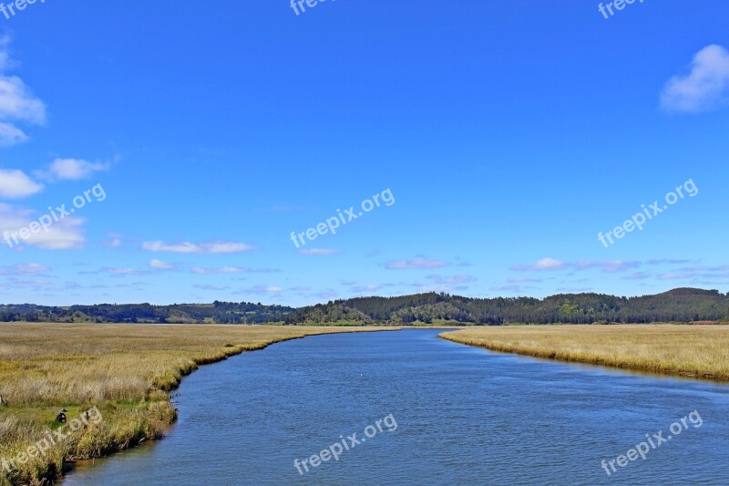 River Straw Nature Water Summer