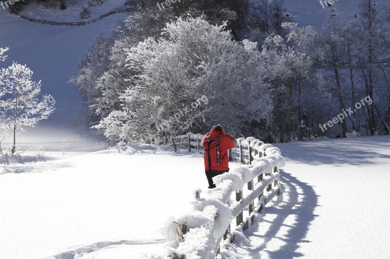 Wintry Snow Landscape Valsertal Free Photos