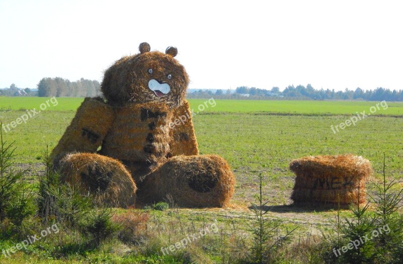 Straw Bear The Road Free Photos