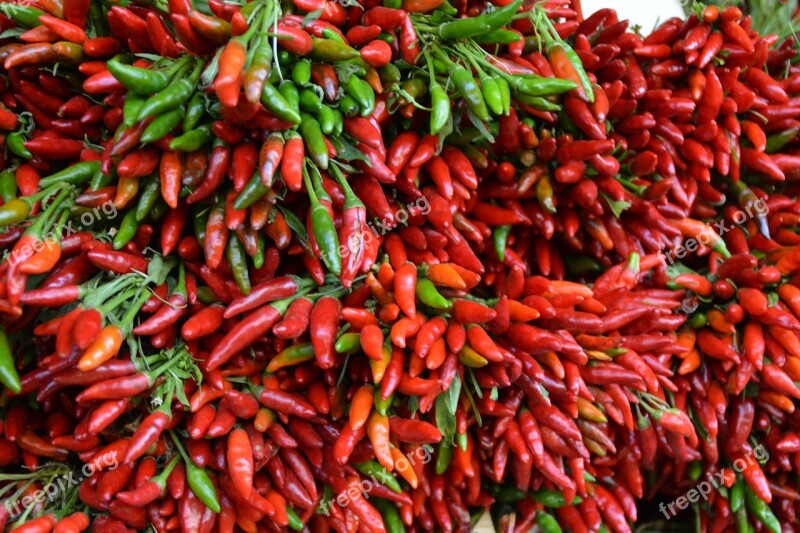 Red Chilli Edible Pods Food