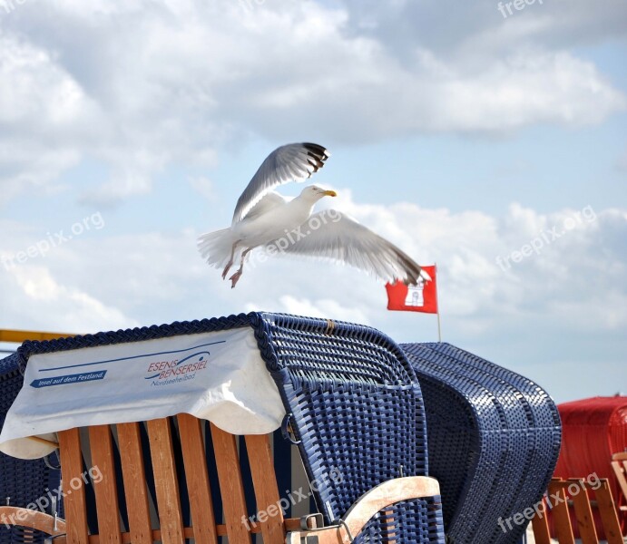 Seagull Beach Chair North Sea Vacations Bensersiel