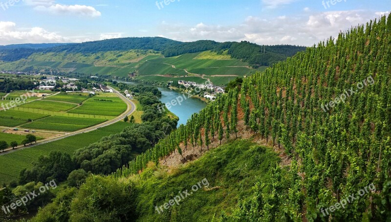 ürzig Mosel Sachsen Germany Wine