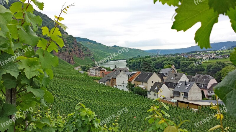 ürzig Mosel Sachsen Germany Wine