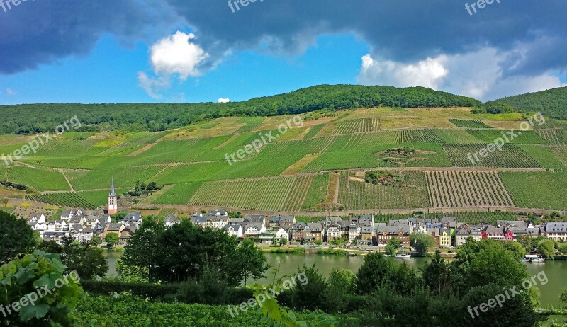 Merl Mosel Sachsen Germany Wine