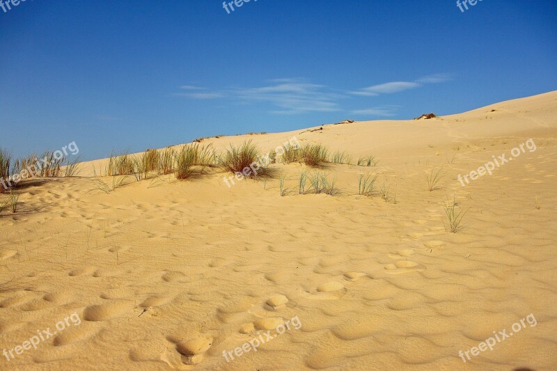 Sand Dune Dune Pyla You Sand Dune Sand Beach