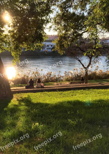 Spanish Winter Guadalquivir Park River Bank Two