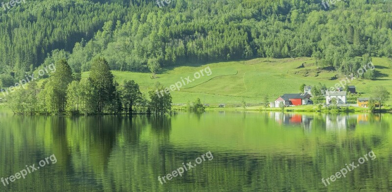 Norway Lake Green Trees Nature