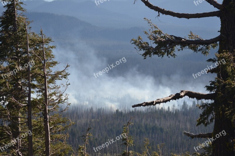 Wild Fire Forest Fire Oregon Forest Fire