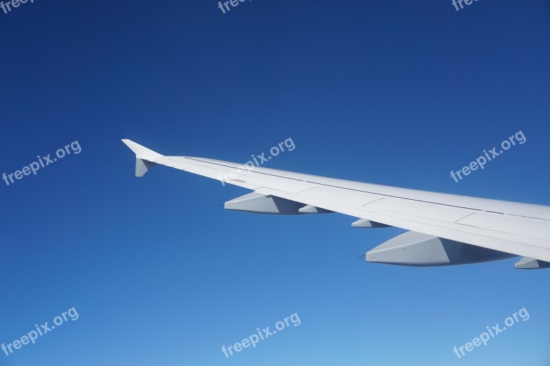 Aircraft Sky Wing Blue No Clouds