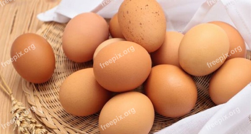 Egg Eggs Food Healthy Eat