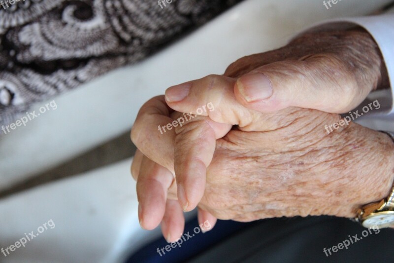 Holding Hands Hands Love Couple Holding Hands Free Photos