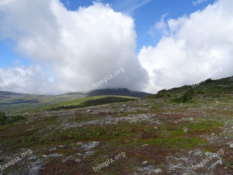 Dyatlov Pass Kurumnik Road Nature Camping