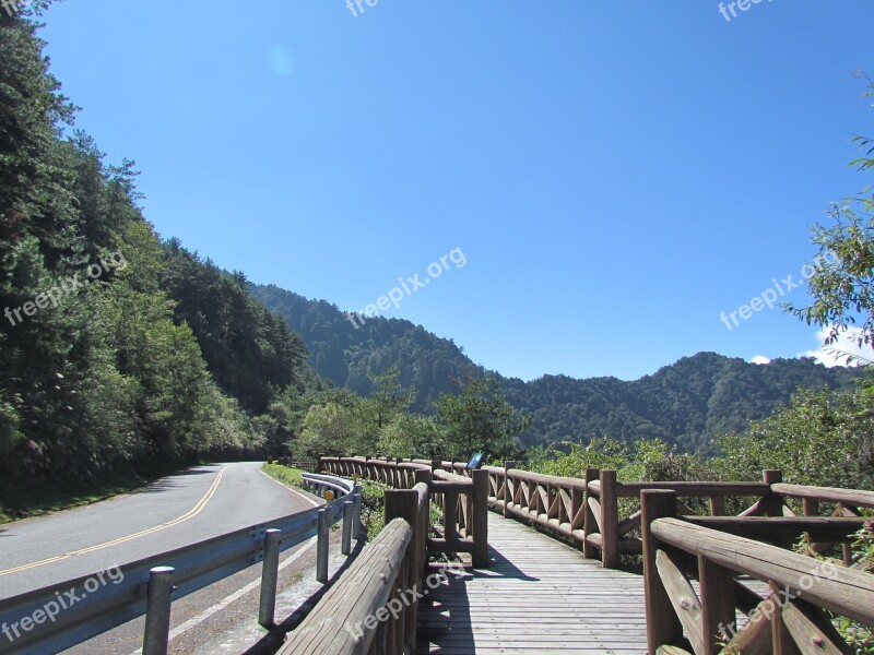 Alishan National Park Mountain Natural Morning Sunshine