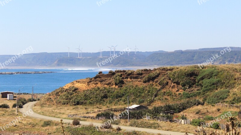 Wind Energy Forest Beach Power