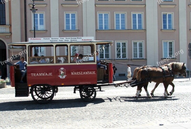 Horses Tram Pavement Summer The Vehicle