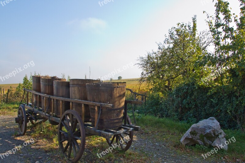 Cart Winemaker Winegrowing Hungary Wine