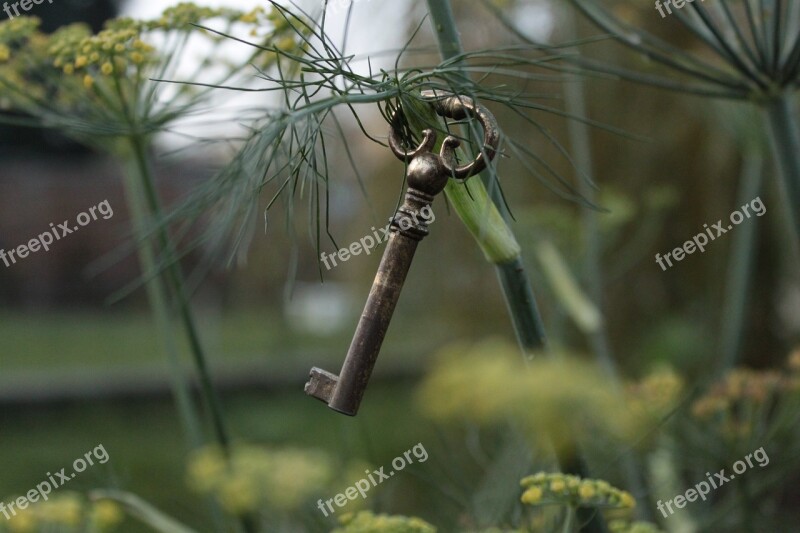 Key Wild Garden Nature Landscapes