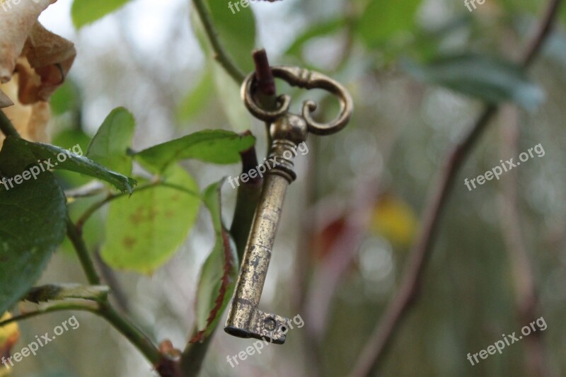 Key Garden Nature Table Free Photos