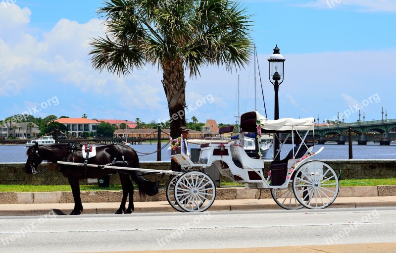 Horse And Carriage St Augustine Florida Tourism Sight Seeing