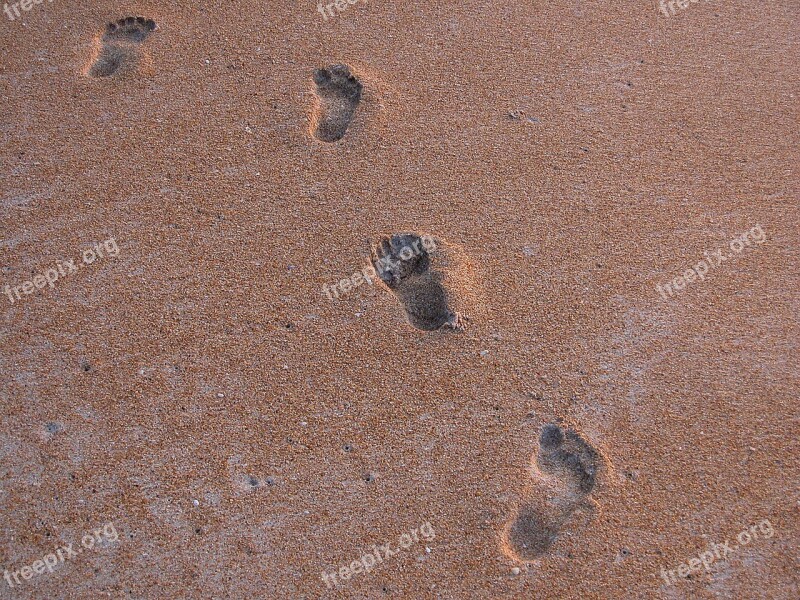 Foot Steps Beach Imprint Sand Foot