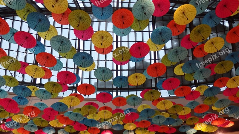 Umbrella Decor Color Design Free Photos