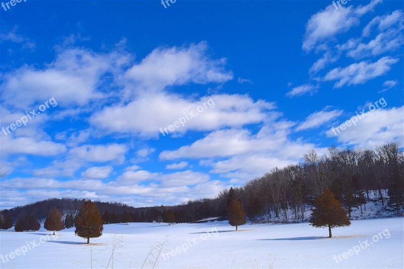 Snow Field Trees Winter Nature