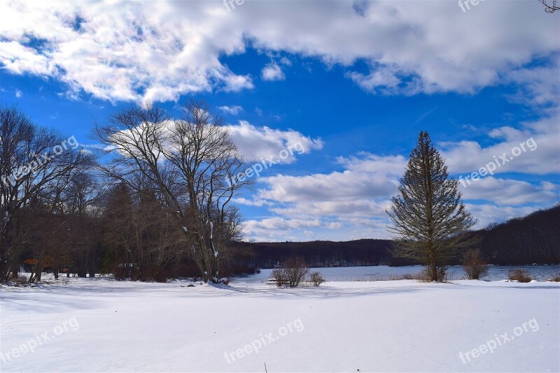 Snow Trees Sky Clouds Blue